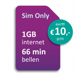 Sim Only 1GB
